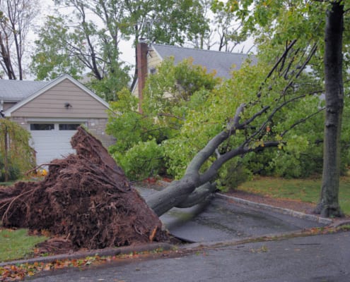 how to prepare your home for a hurricane