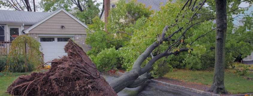 how to prepare your home for a hurricane