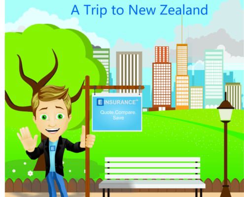 rental car insurance a trip to New Zealand